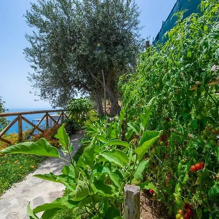 Le Contrade - Sosore Holiday Homes - Amalfi Coast Appartamento