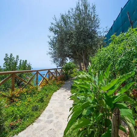 Le Contrade - Sosore Holiday Homes - Amalfi Coast
